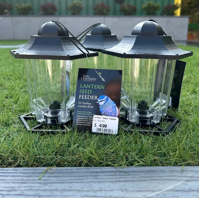 November Offer - Lantern Feeders